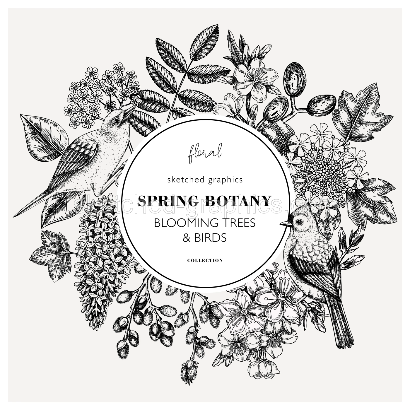Vintage spring hand drawn wreath template. Floral frame designs with birds, flowers, leaves and blooming tree branches. Almond, willow, rowan, willow, lilac, cherry blossom sketches for card prints Illustration